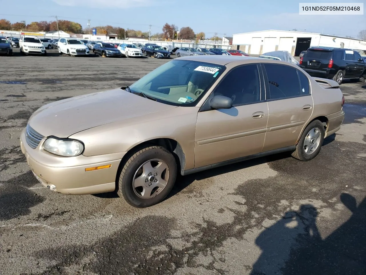 2005 Chevrolet Classic VIN: 1G1ND52F05M210468 Lot: 77539644