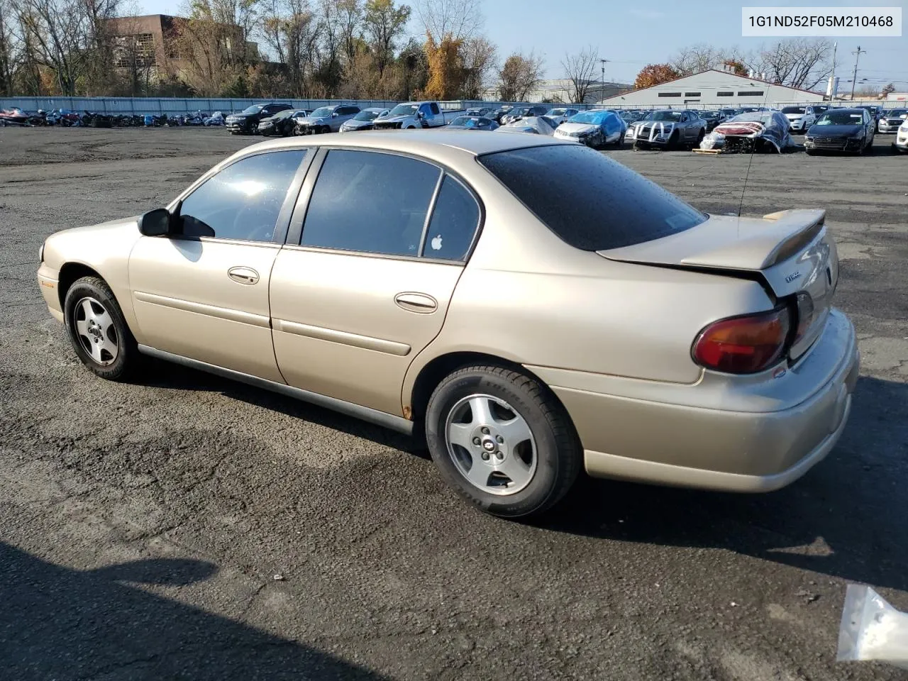 2005 Chevrolet Classic VIN: 1G1ND52F05M210468 Lot: 77539644