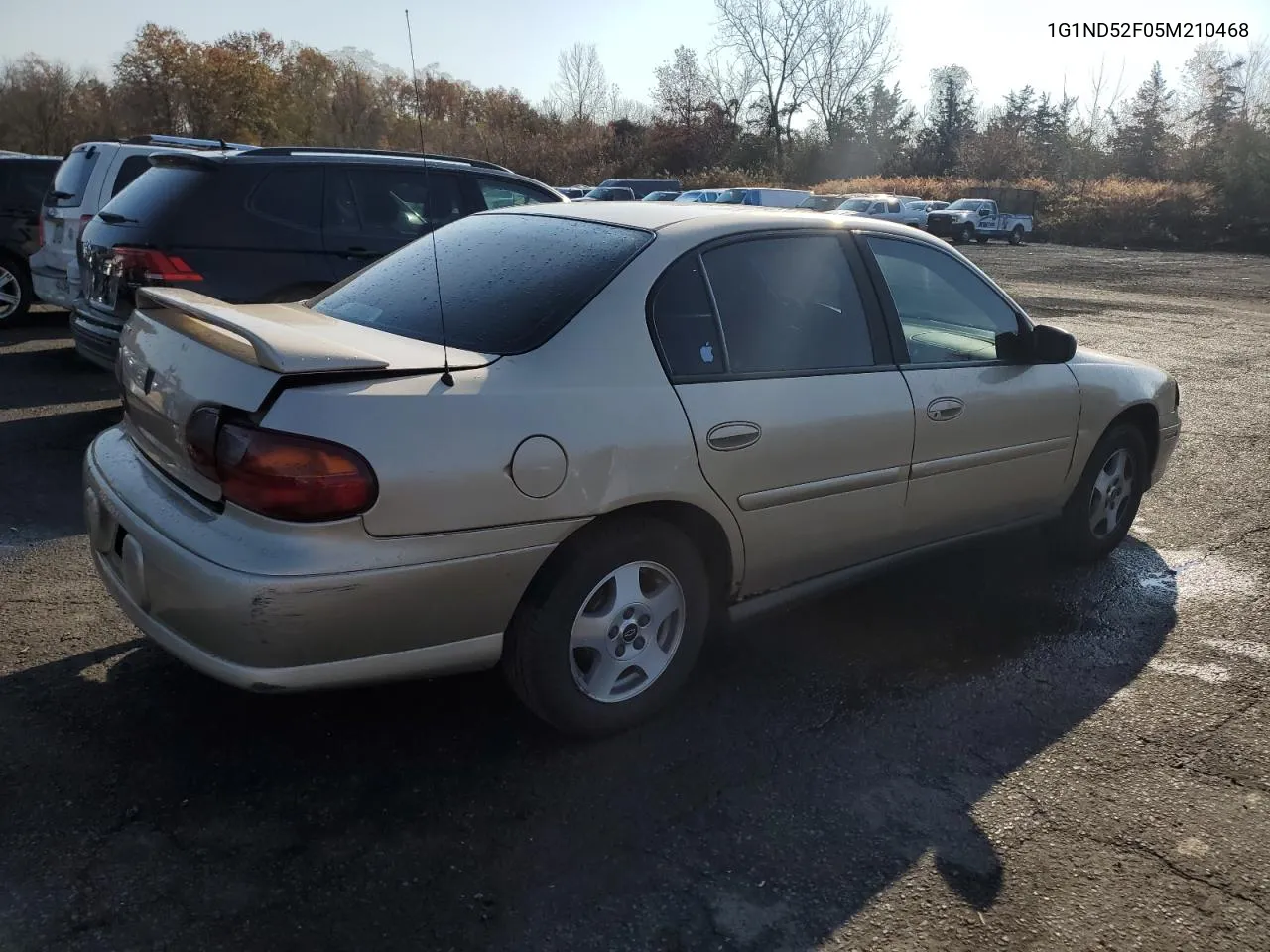 2005 Chevrolet Classic VIN: 1G1ND52F05M210468 Lot: 77539644