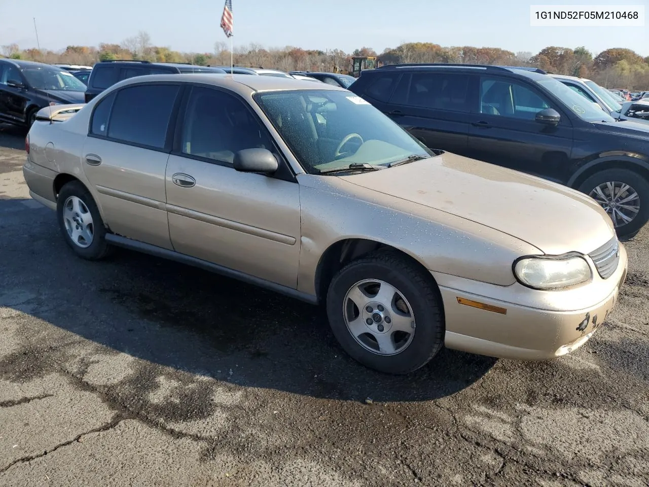 2005 Chevrolet Classic VIN: 1G1ND52F05M210468 Lot: 77539644