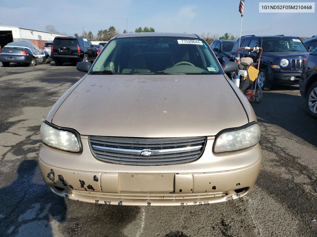 2005 Chevrolet Classic VIN: 1G1ND52F05M210468 Lot: 77539644