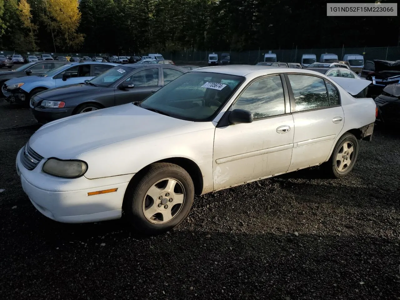 2005 Chevrolet Classic VIN: 1G1ND52F15M223066 Lot: 77705674