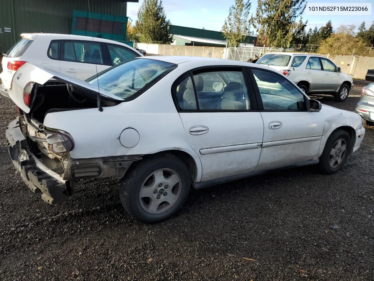 2005 Chevrolet Classic VIN: 1G1ND52F15M223066 Lot: 77705674