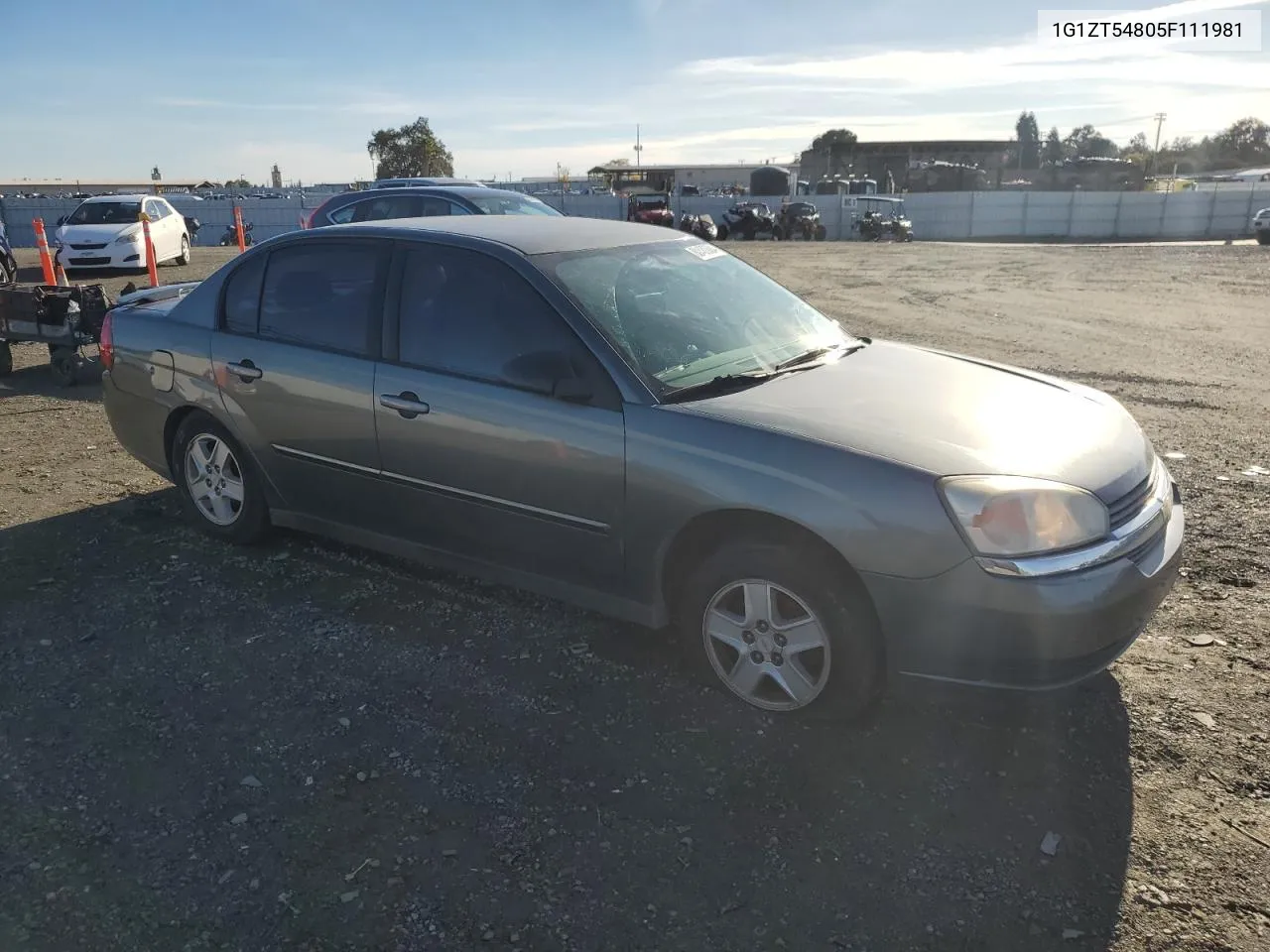 2005 Chevrolet Malibu Ls VIN: 1G1ZT54805F111981 Lot: 80436684