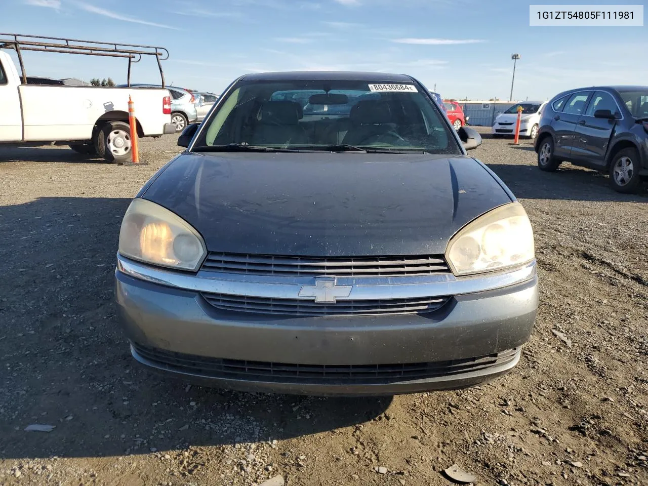 2005 Chevrolet Malibu Ls VIN: 1G1ZT54805F111981 Lot: 80436684