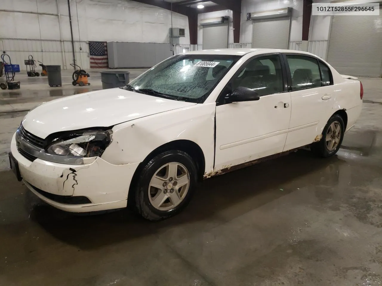 2005 Chevrolet Malibu Ls VIN: 1G1ZT52855F296645 Lot: 81085844