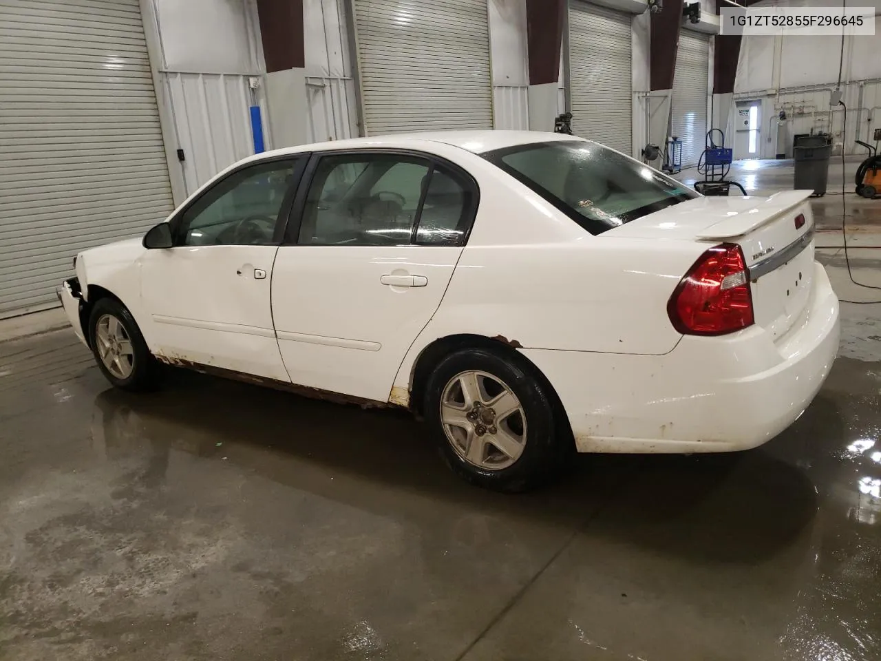 2005 Chevrolet Malibu Ls VIN: 1G1ZT52855F296645 Lot: 81085844