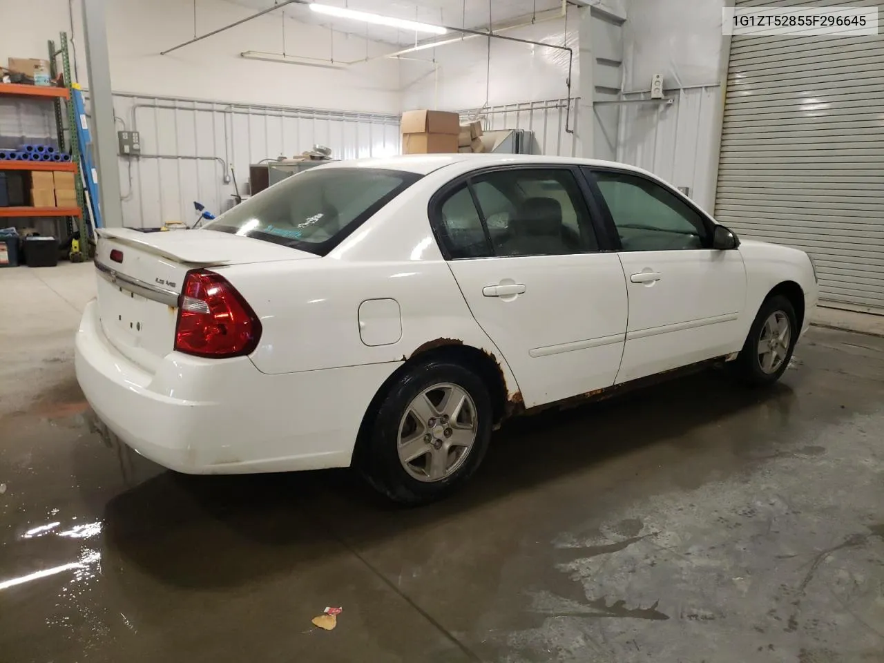 2005 Chevrolet Malibu Ls VIN: 1G1ZT52855F296645 Lot: 81085844