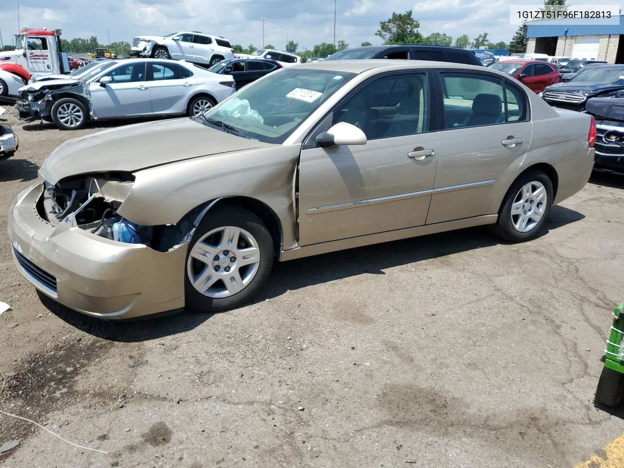 2006 Chevrolet Malibu Lt VIN: 1G1ZT51F96F182813 Lot: 60113014