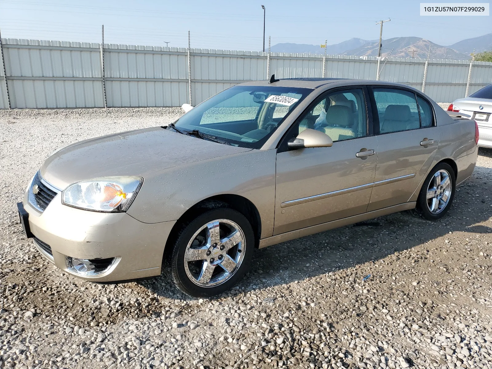 2007 Chevrolet Malibu Ltz VIN: 1G1ZU57N07F299029 Lot: 65620604