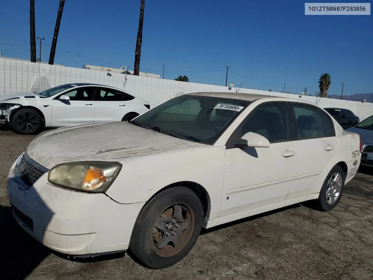 2007 Chevrolet Malibu Lt VIN: 1G1ZT58N87F283856 Lot: 78700604