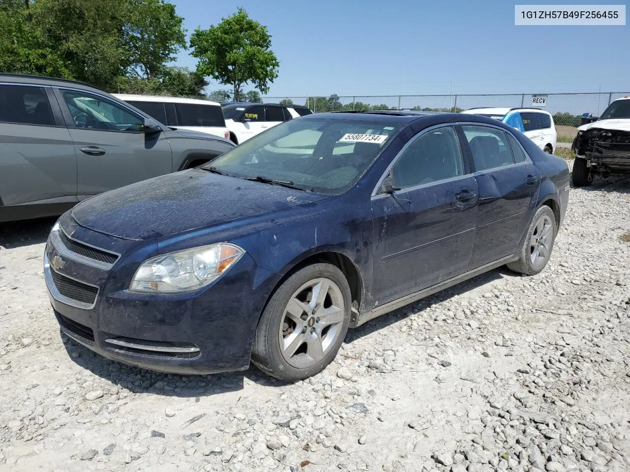 2009 Chevrolet Malibu 1Lt VIN: 1G1ZH57B49F256455 Lot: 55807734