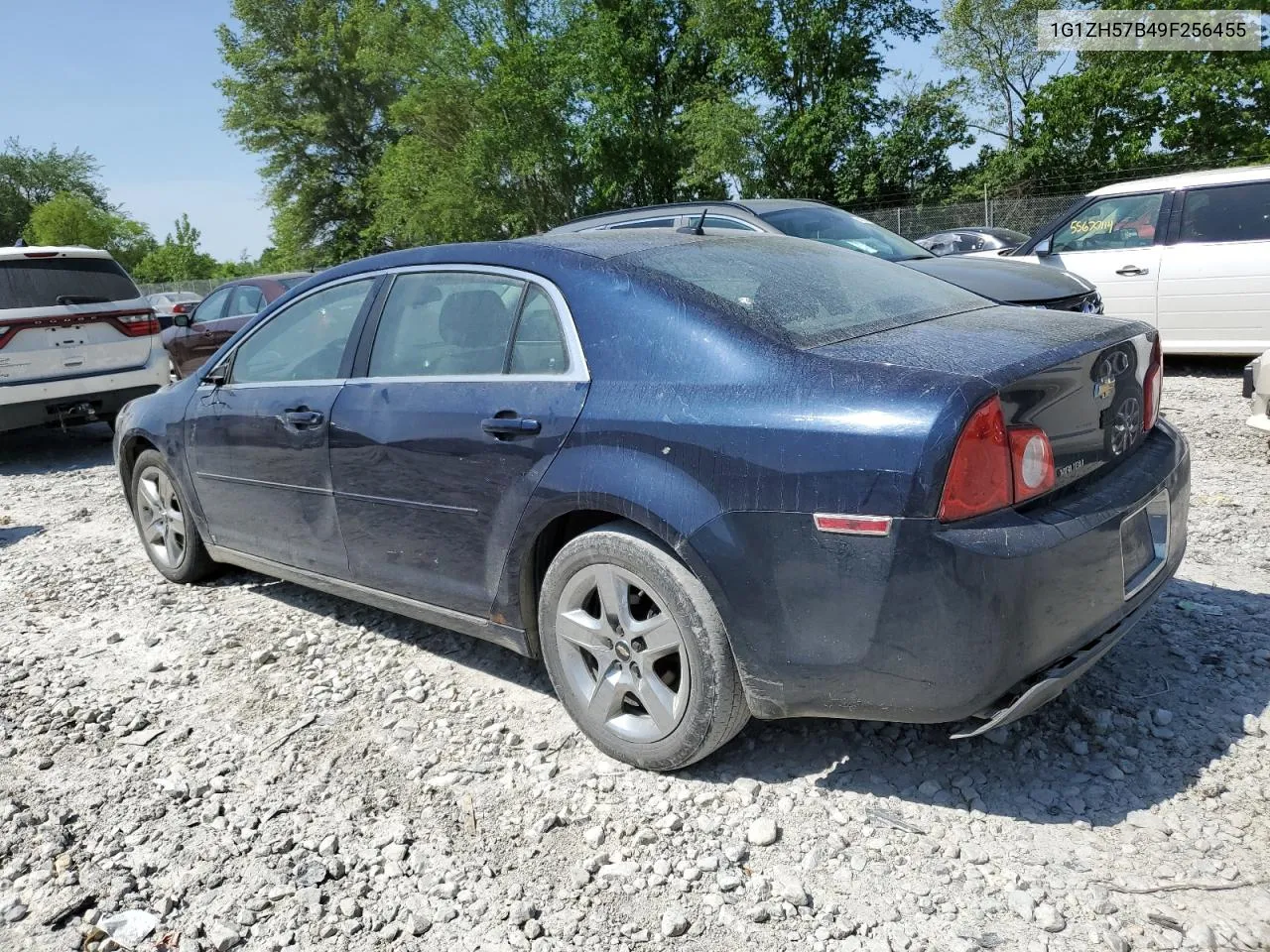 2009 Chevrolet Malibu 1Lt VIN: 1G1ZH57B49F256455 Lot: 55807734