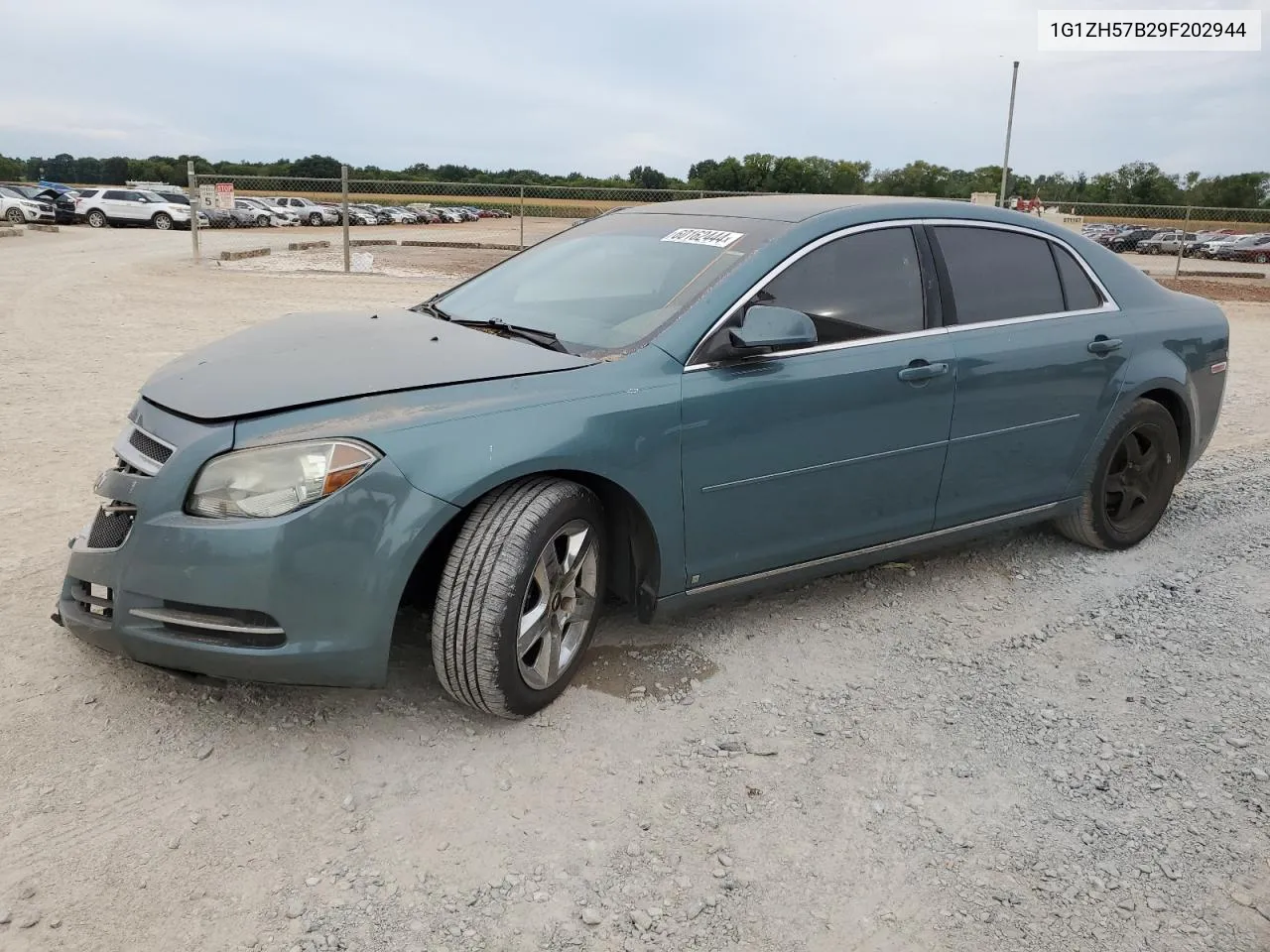 2009 Chevrolet Malibu 1Lt VIN: 1G1ZH57B29F202944 Lot: 60162444