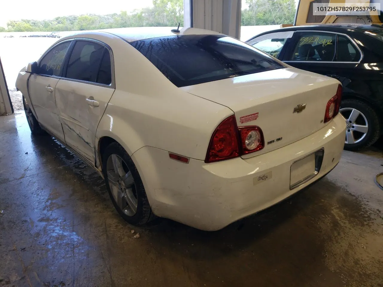 2009 Chevrolet Malibu 1Lt VIN: 1G1ZH57B29F253795 Lot: 62983774