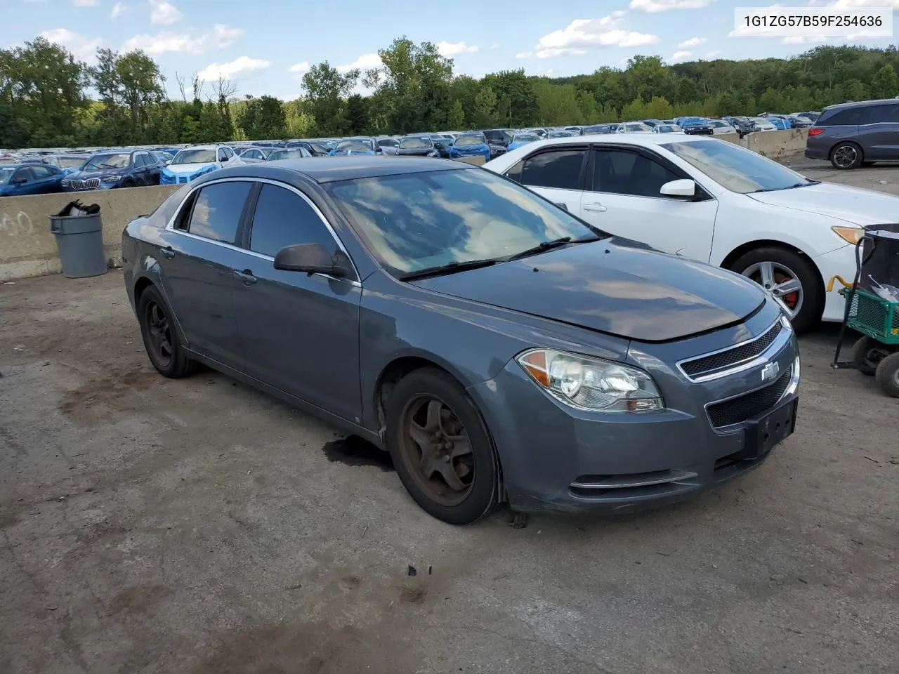 2009 Chevrolet Malibu Ls VIN: 1G1ZG57B59F254636 Lot: 68330694