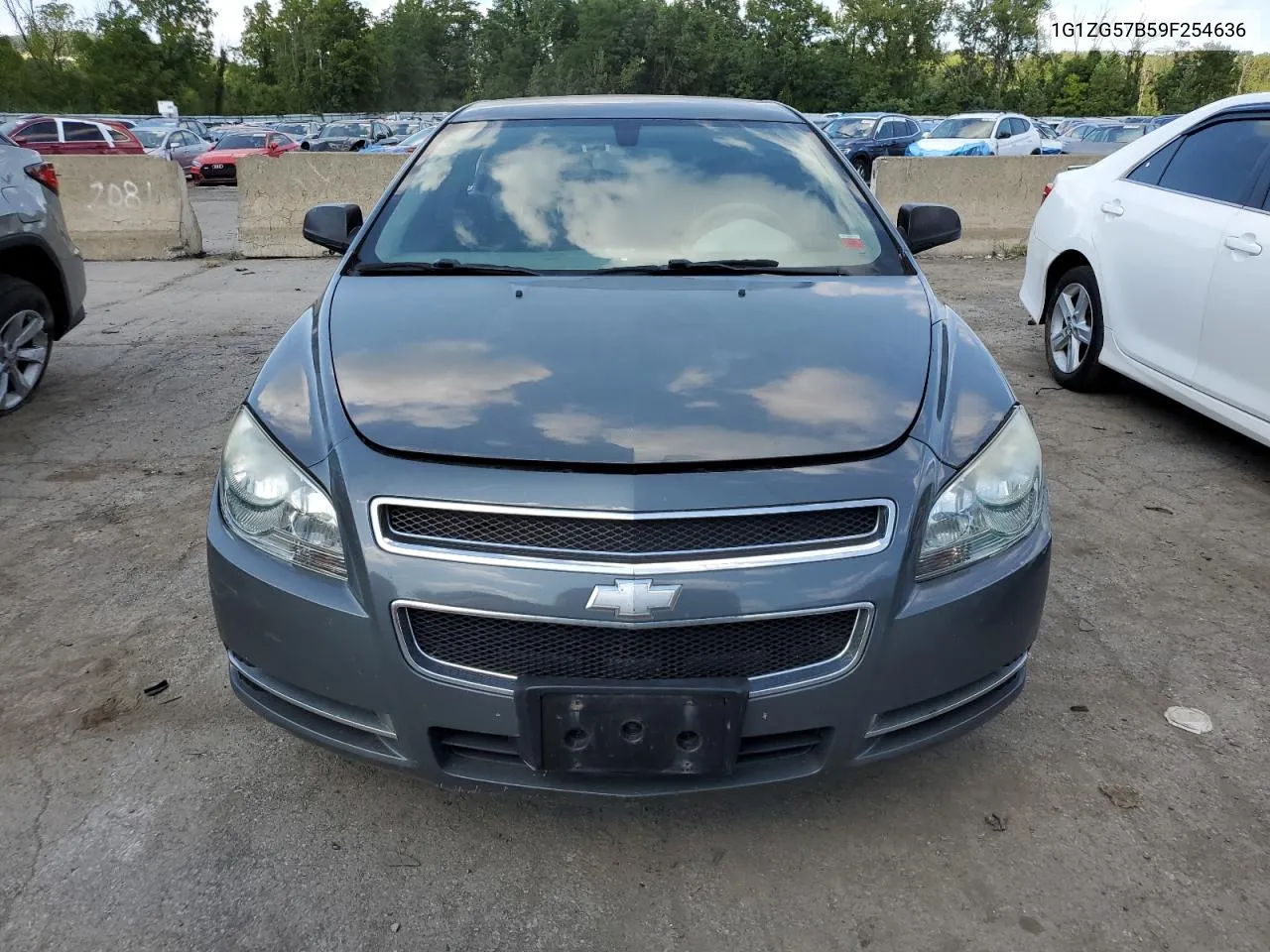 2009 Chevrolet Malibu Ls VIN: 1G1ZG57B59F254636 Lot: 68330694