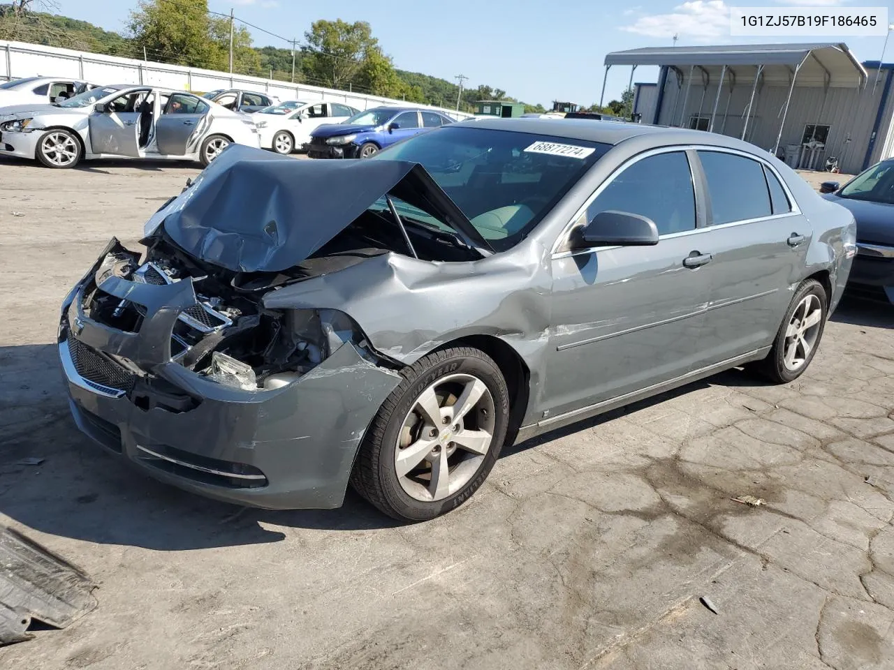 2009 Chevrolet Malibu 2Lt VIN: 1G1ZJ57B19F186465 Lot: 68877274