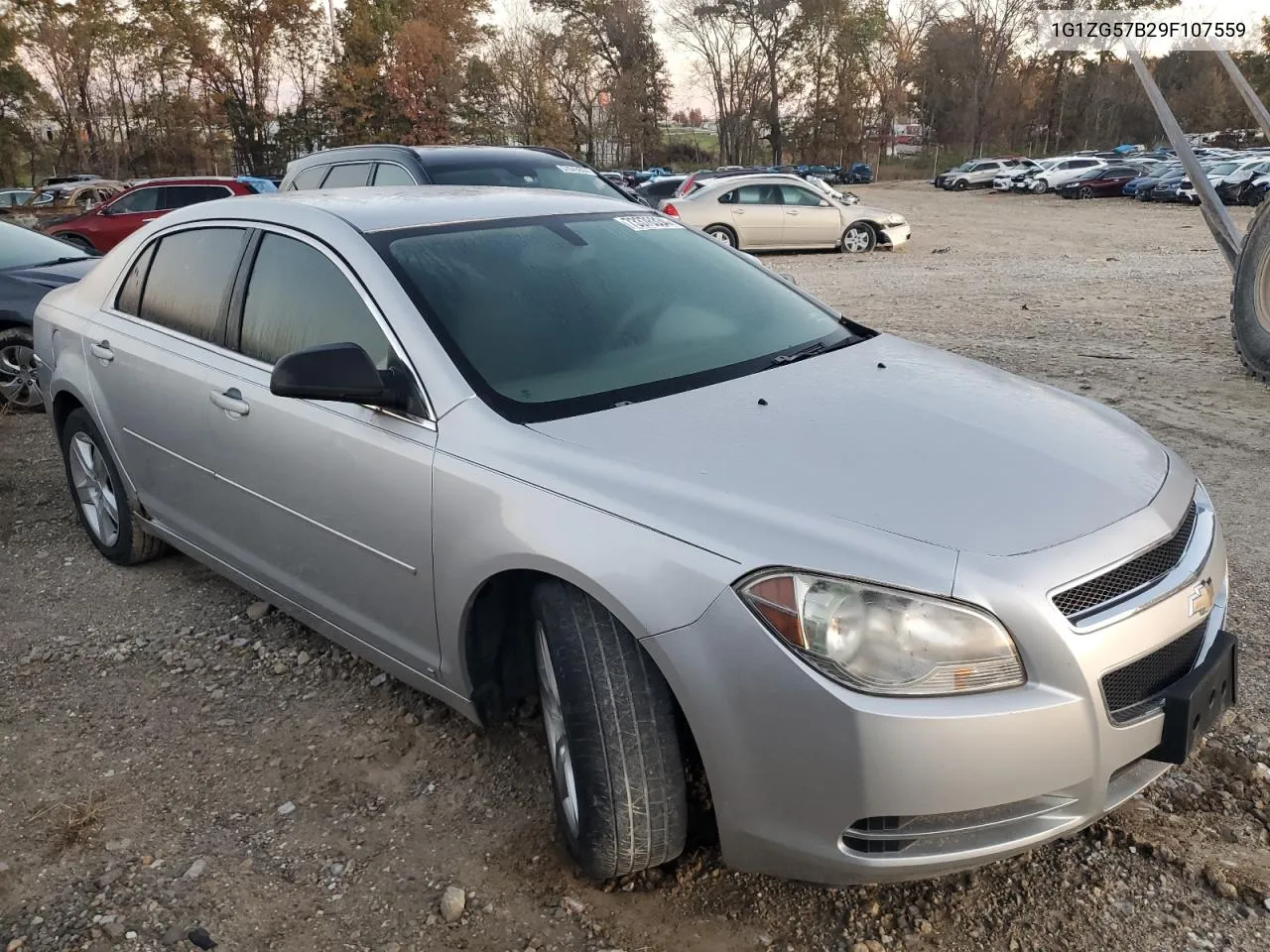 2009 Chevrolet Malibu Ls VIN: 1G1ZG57B29F107559 Lot: 73376334