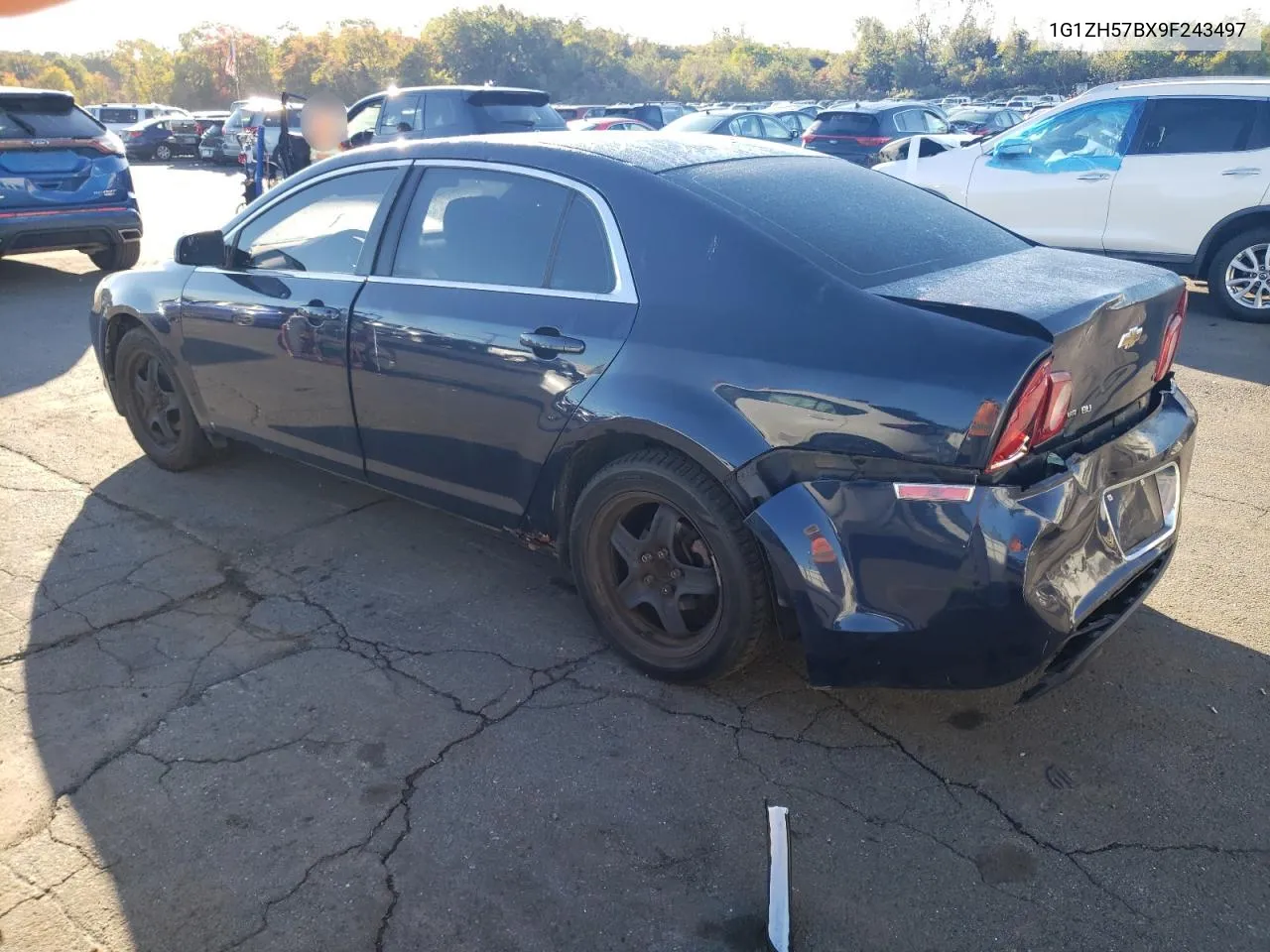 1G1ZH57BX9F243497 2009 Chevrolet Malibu 1Lt