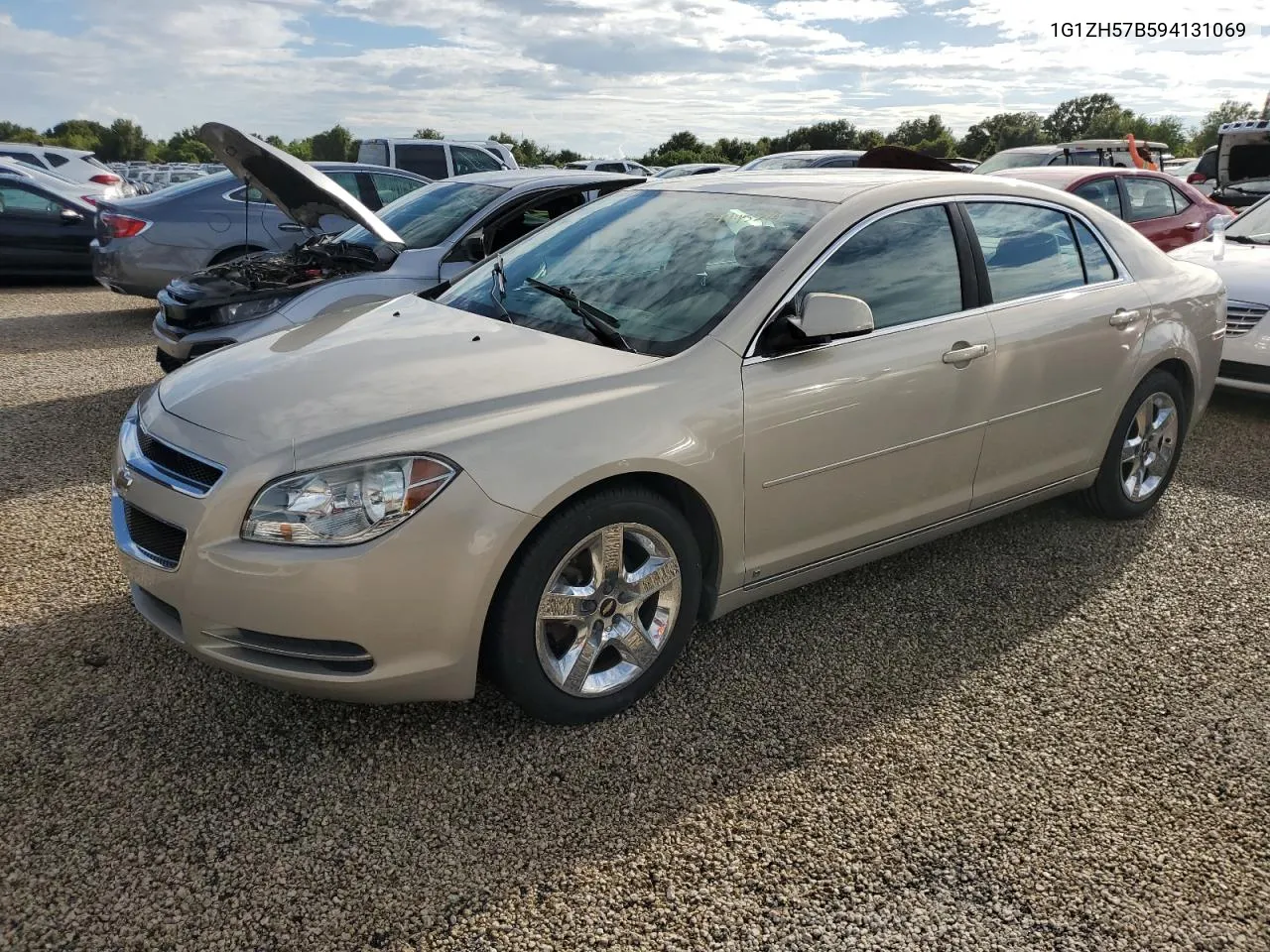 2009 Chevrolet Malibu 1Lt VIN: 1G1ZH57B594131069 Lot: 74445214