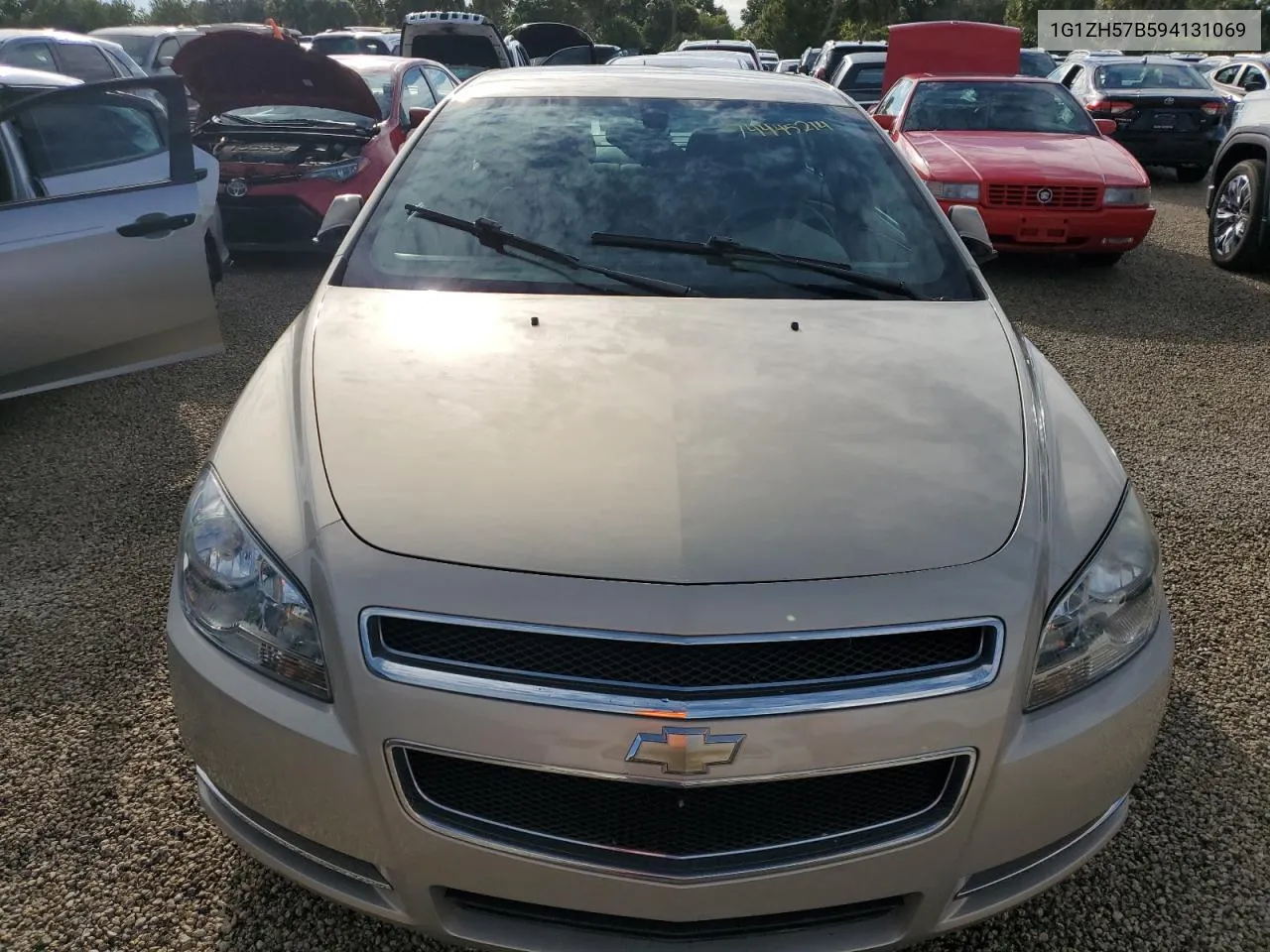 2009 Chevrolet Malibu 1Lt VIN: 1G1ZH57B594131069 Lot: 74445214