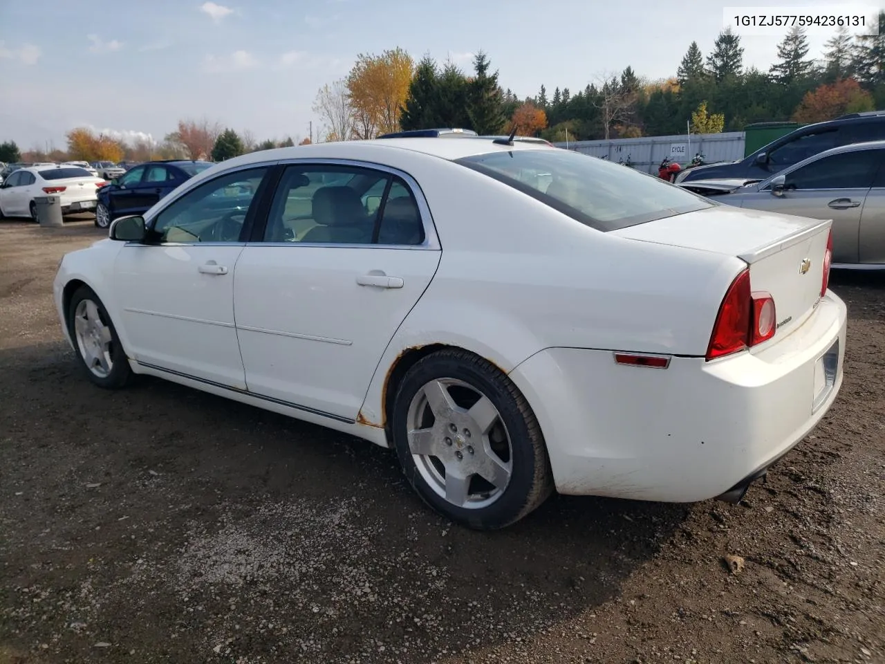 2009 Chevrolet Malibu 2Lt VIN: 1G1ZJ577594236131 Lot: 77023644