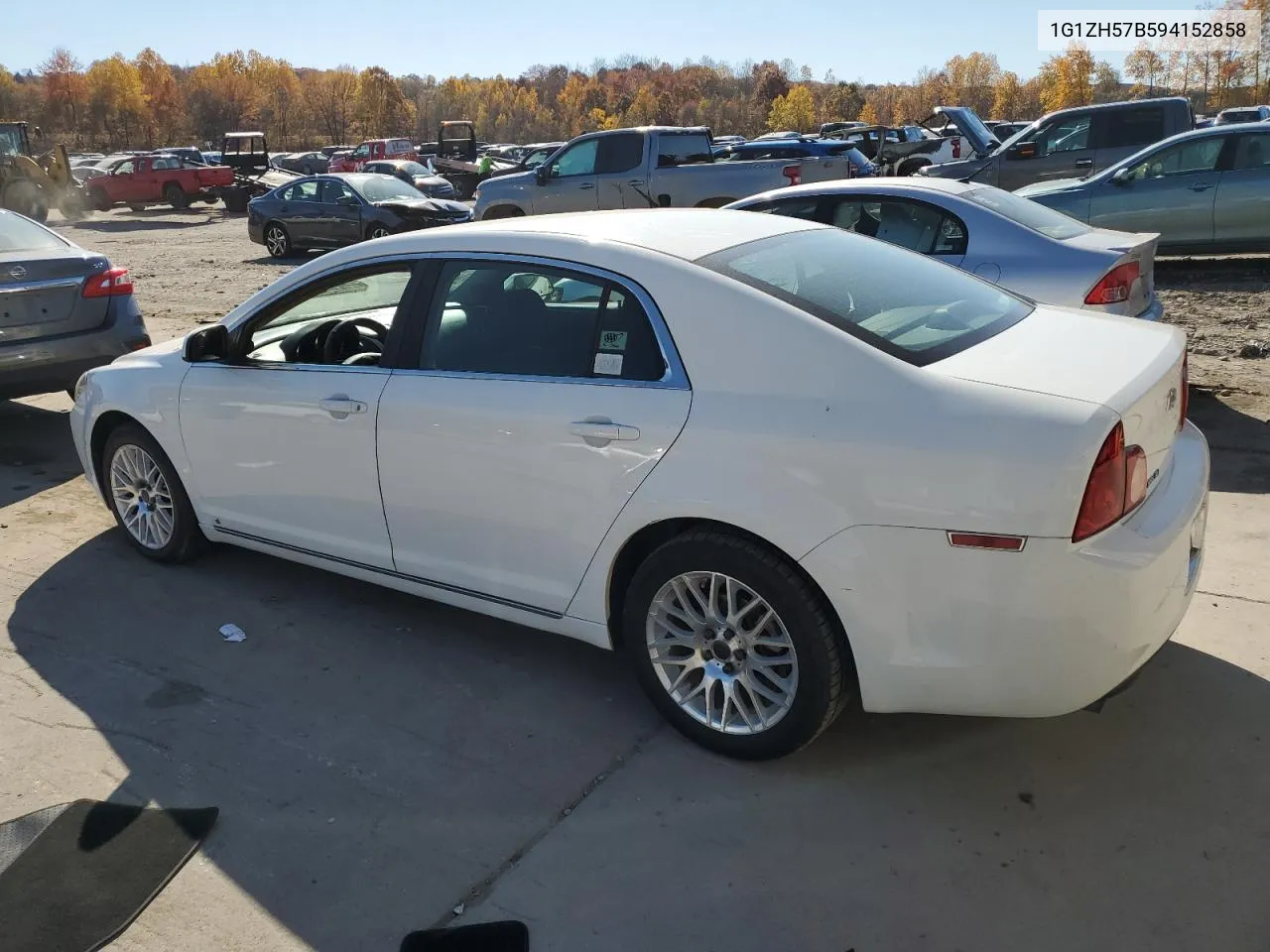 2009 Chevrolet Malibu 1Lt VIN: 1G1ZH57B594152858 Lot: 77362644