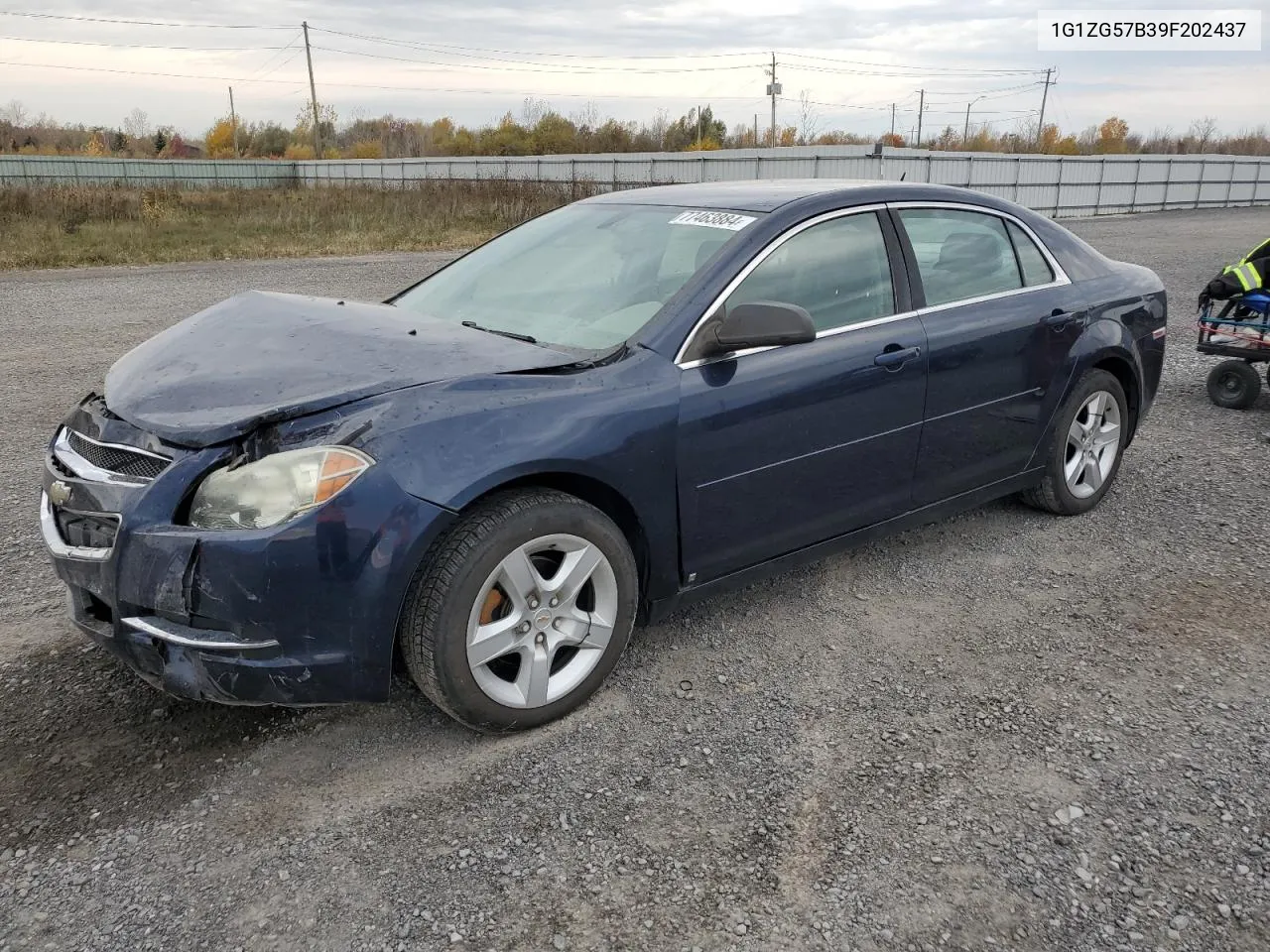 2009 Chevrolet Malibu Ls VIN: 1G1ZG57B39F202437 Lot: 77463884