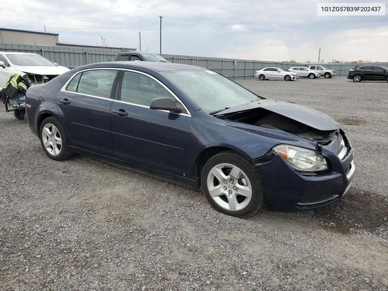 2009 Chevrolet Malibu Ls VIN: 1G1ZG57B39F202437 Lot: 77463884