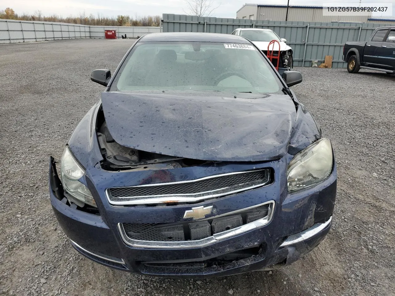 2009 Chevrolet Malibu Ls VIN: 1G1ZG57B39F202437 Lot: 77463884