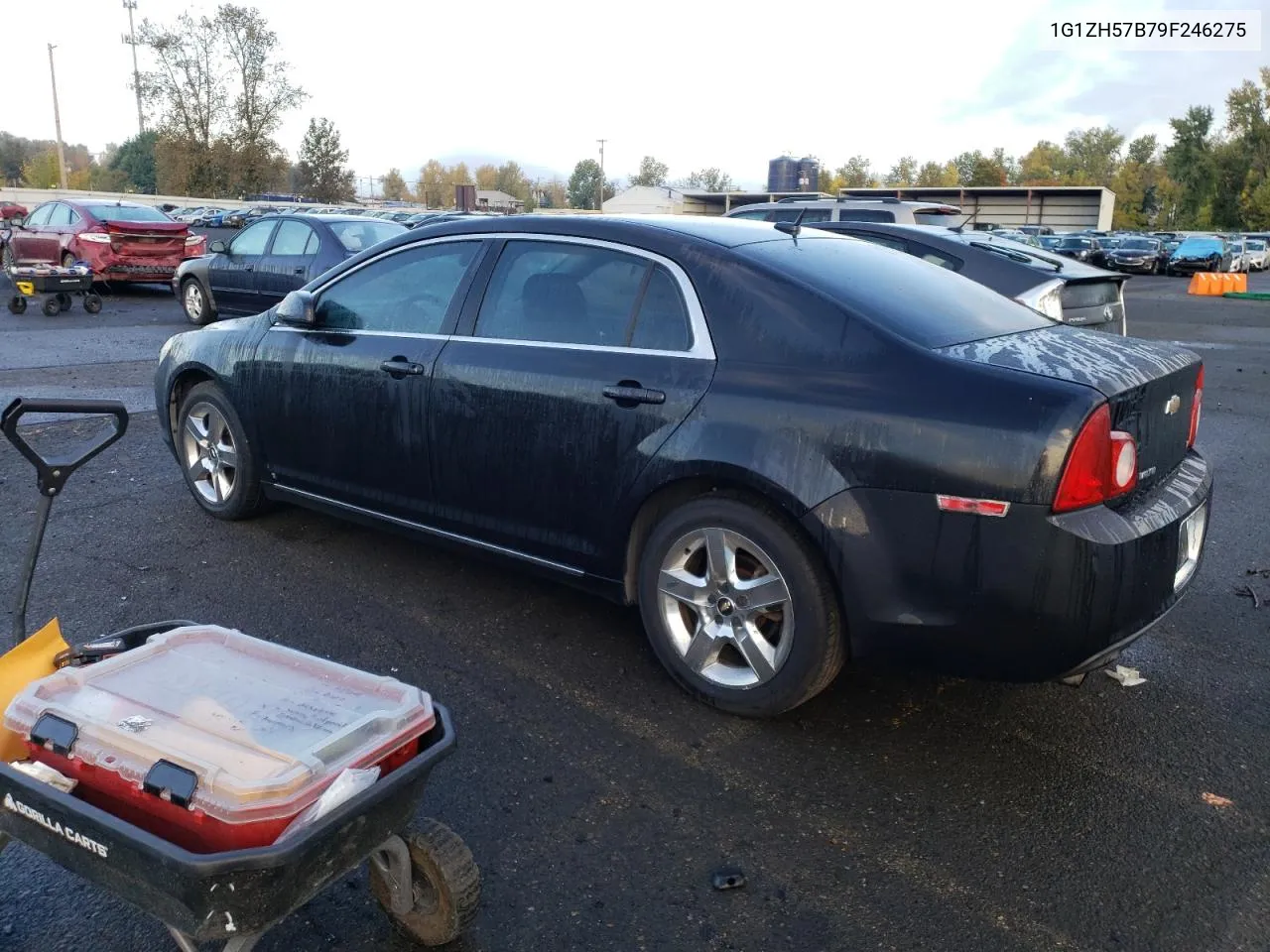 2009 Chevrolet Malibu 1Lt VIN: 1G1ZH57B79F246275 Lot: 78014704