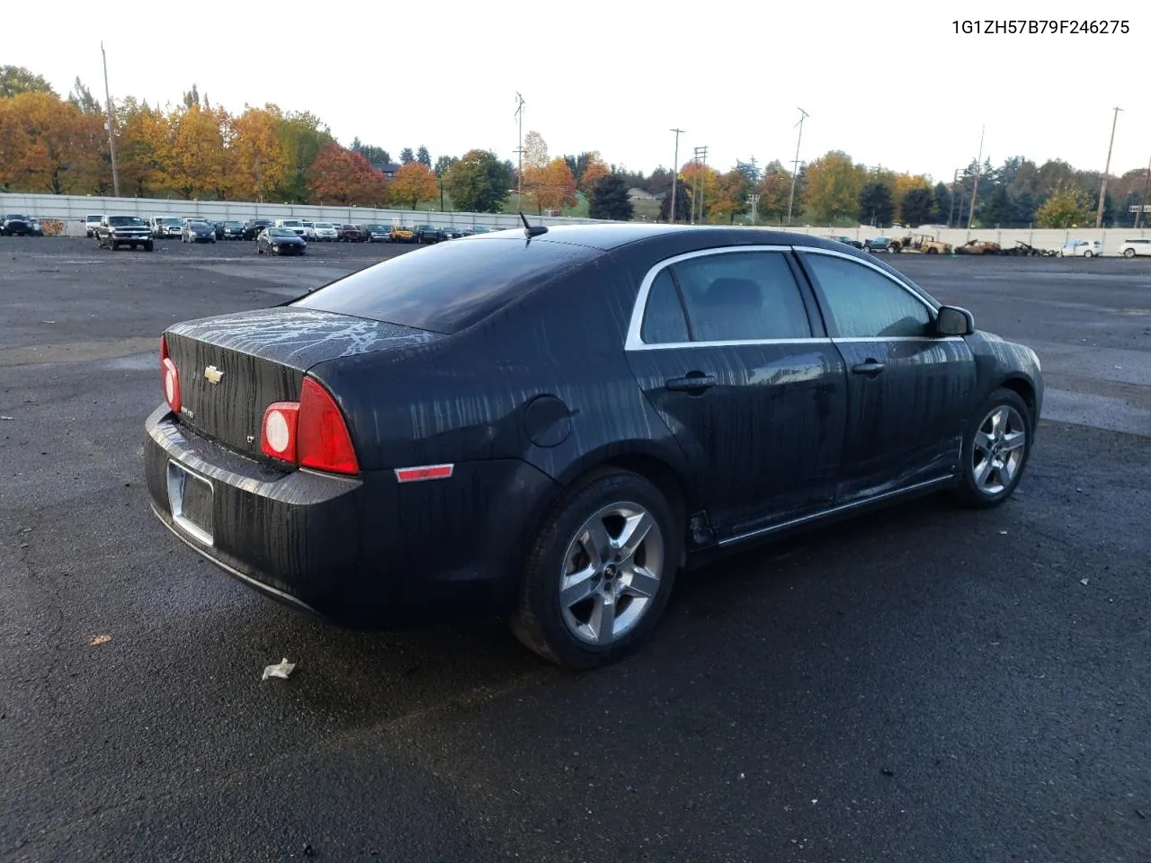 2009 Chevrolet Malibu 1Lt VIN: 1G1ZH57B79F246275 Lot: 78014704