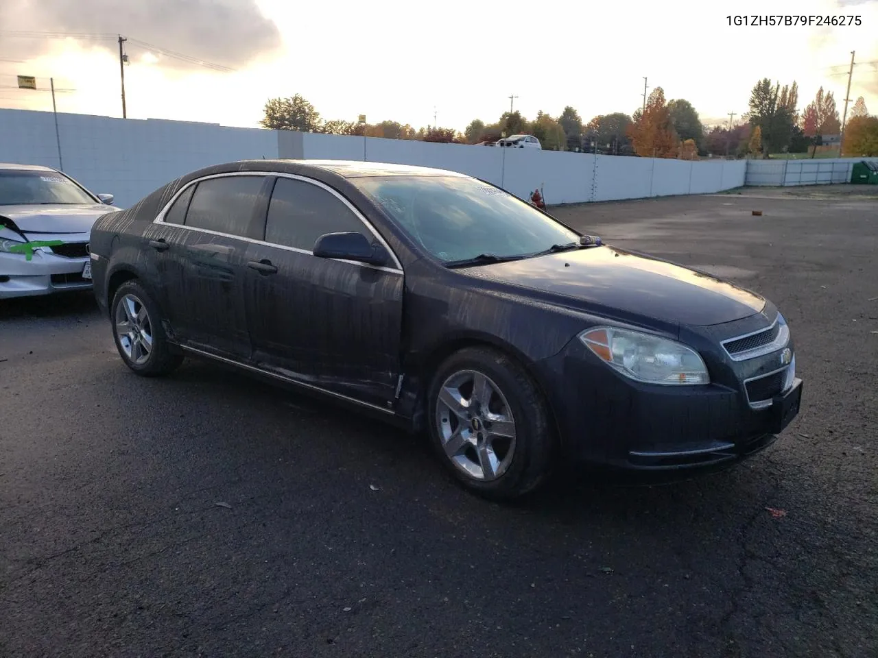 2009 Chevrolet Malibu 1Lt VIN: 1G1ZH57B79F246275 Lot: 78014704