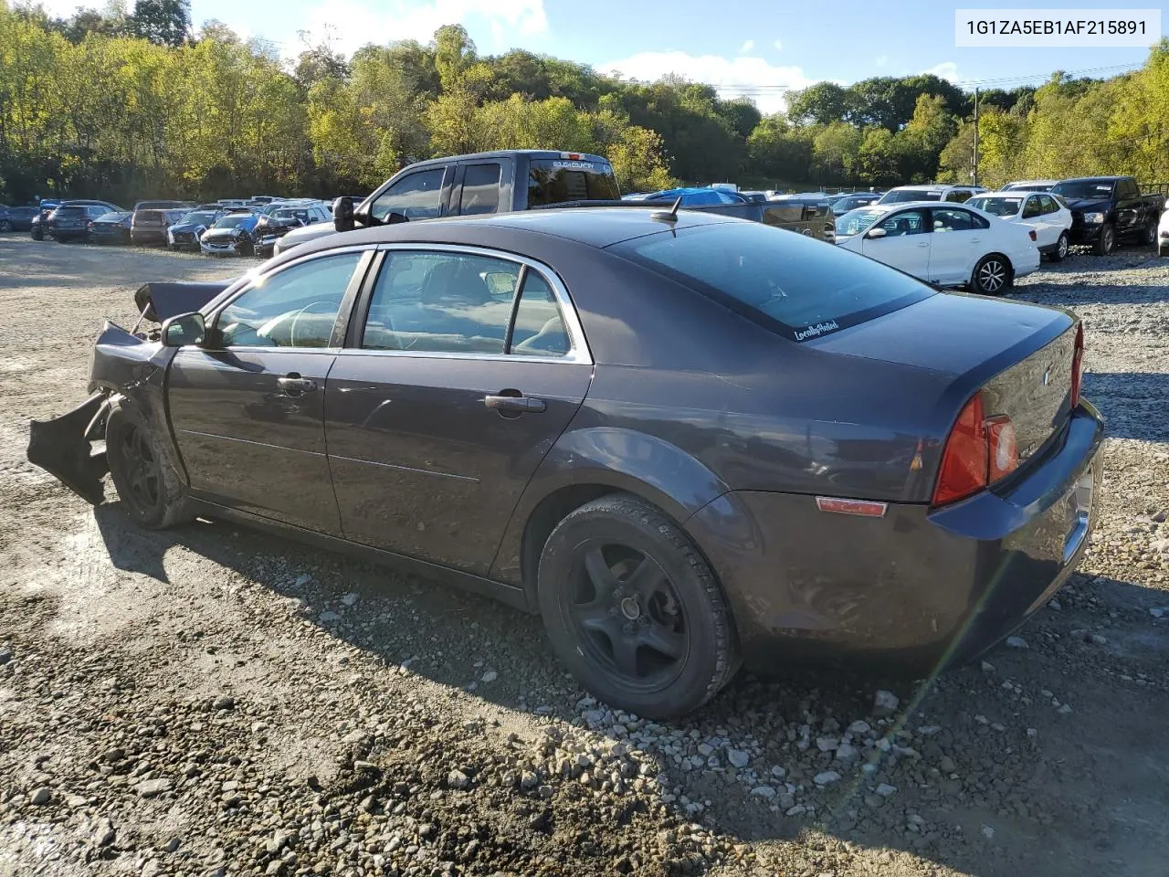 2010 Chevrolet Malibu Ls VIN: 1G1ZA5EB1AF215891 Lot: 73631344