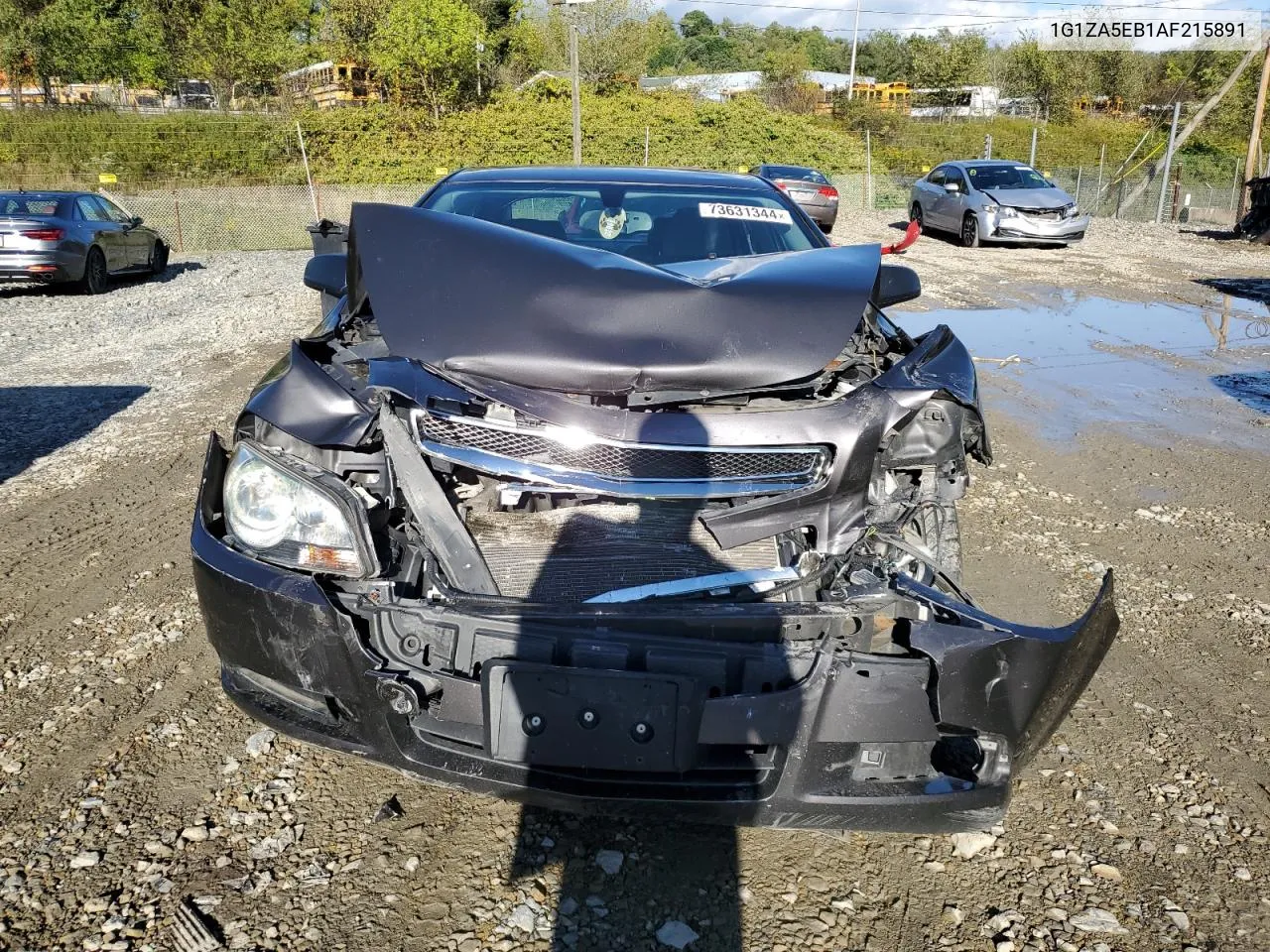 2010 Chevrolet Malibu Ls VIN: 1G1ZA5EB1AF215891 Lot: 73631344