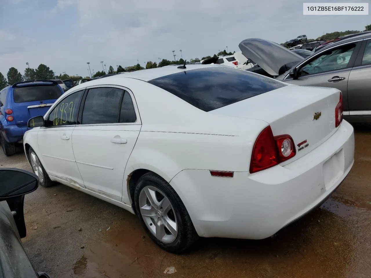 2011 Chevrolet Malibu Ls VIN: 1G1ZB5E16BF176222 Lot: 69528203