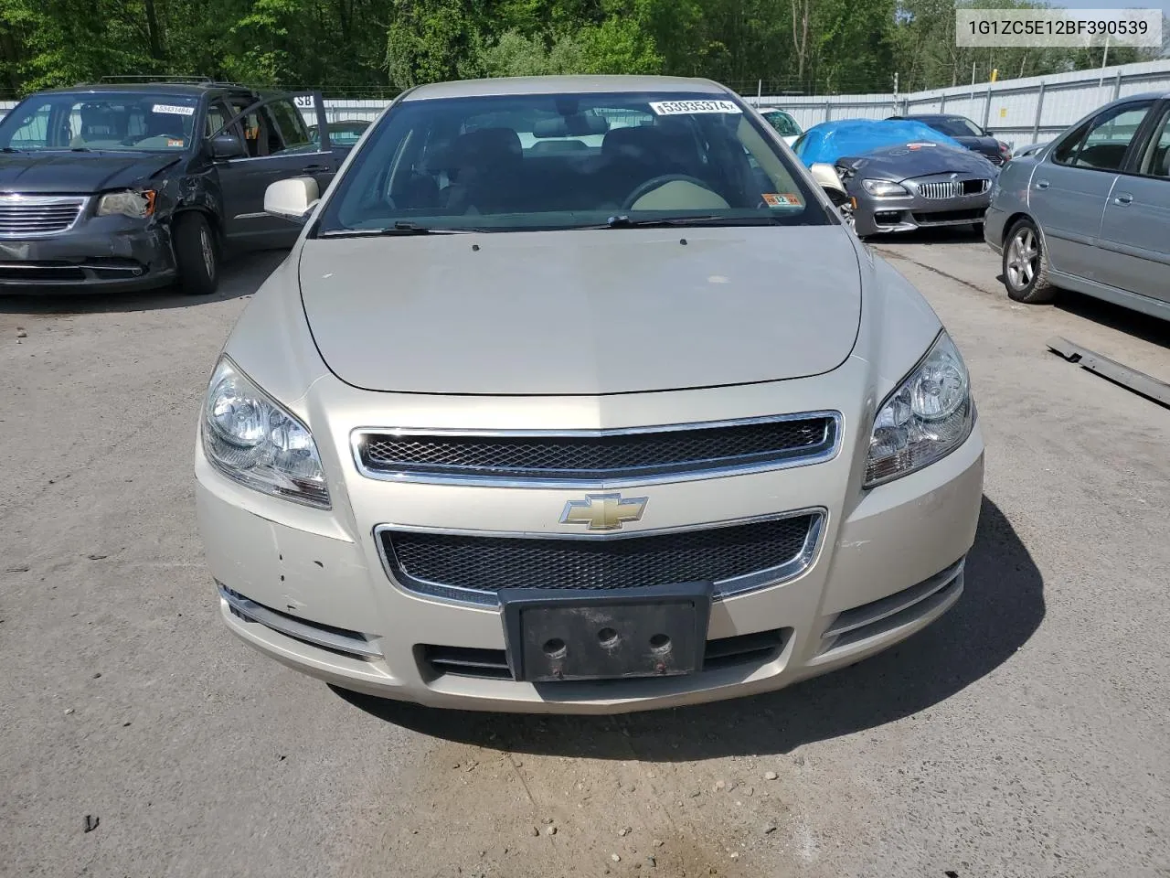 2011 Chevrolet Malibu 1Lt VIN: 1G1ZC5E12BF390539 Lot: 69561694