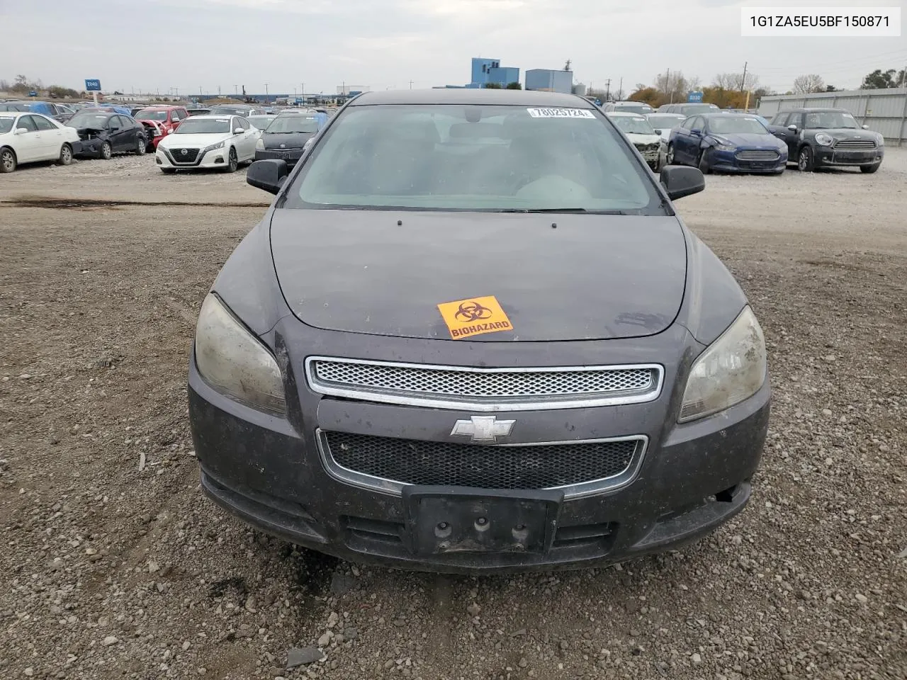 1G1ZA5EU5BF150871 2011 Chevrolet Malibu Ls