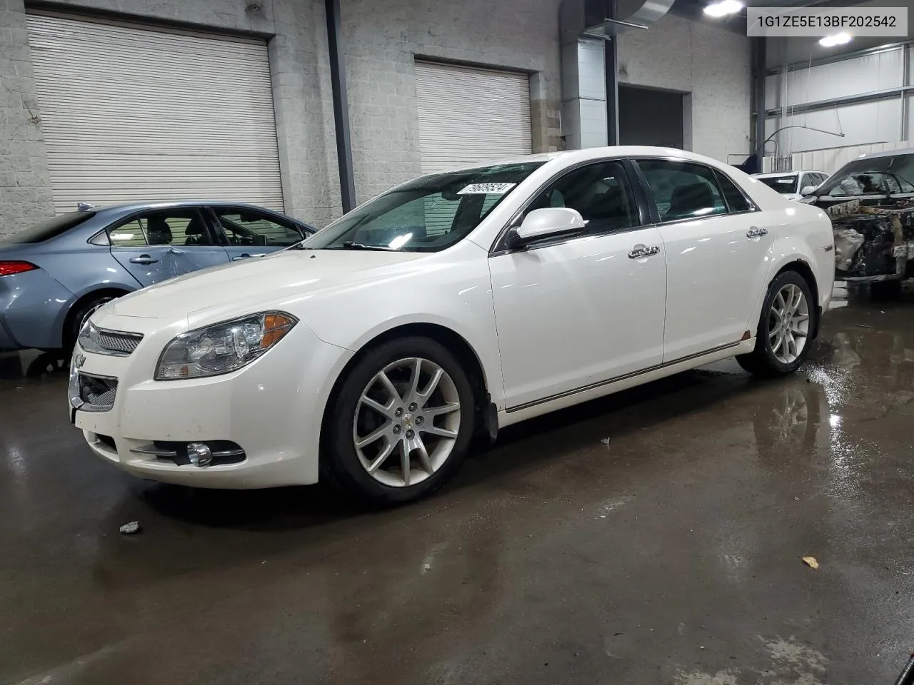 2011 Chevrolet Malibu Ltz VIN: 1G1ZE5E13BF202542 Lot: 79609524