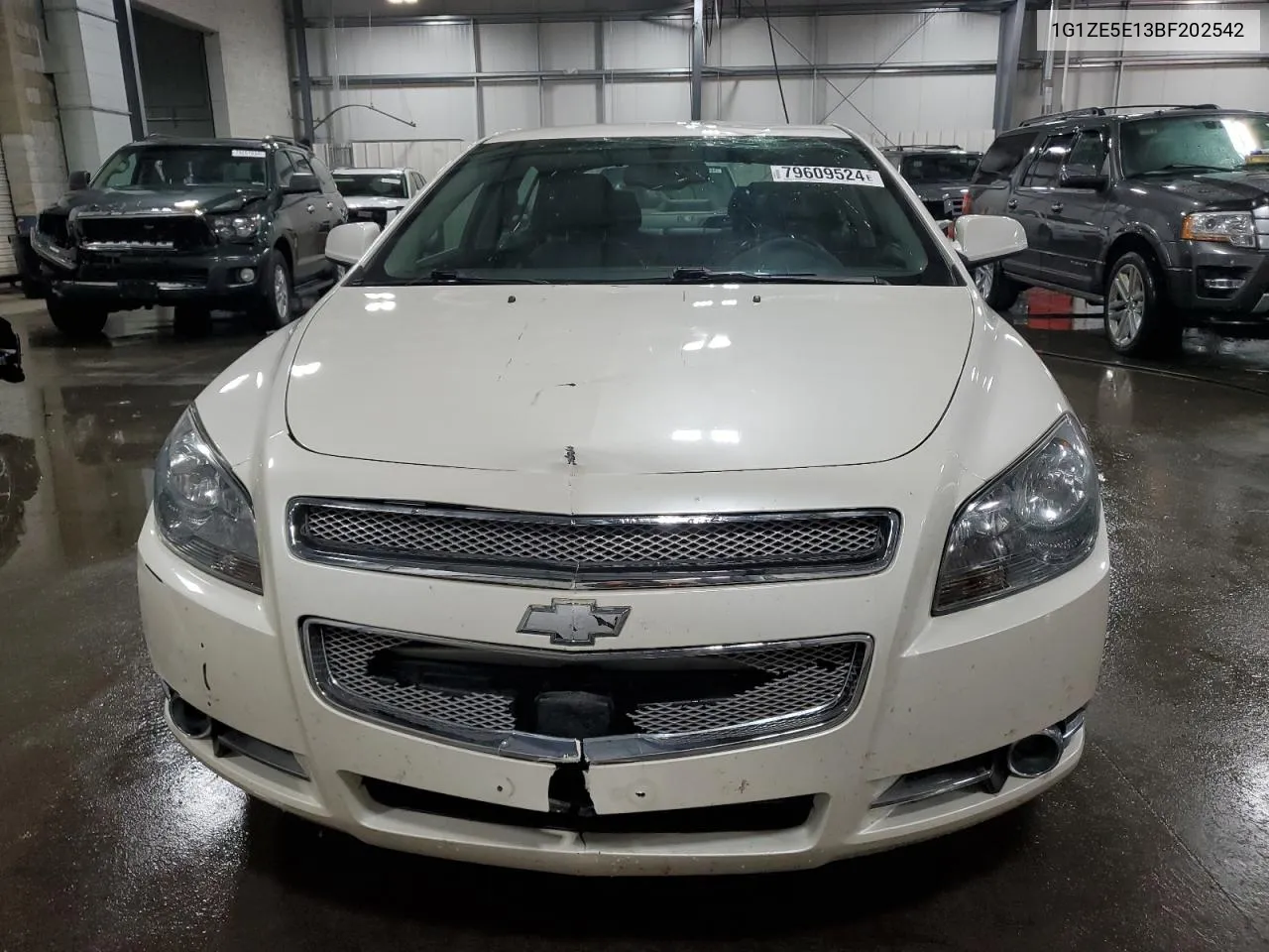 2011 Chevrolet Malibu Ltz VIN: 1G1ZE5E13BF202542 Lot: 79609524