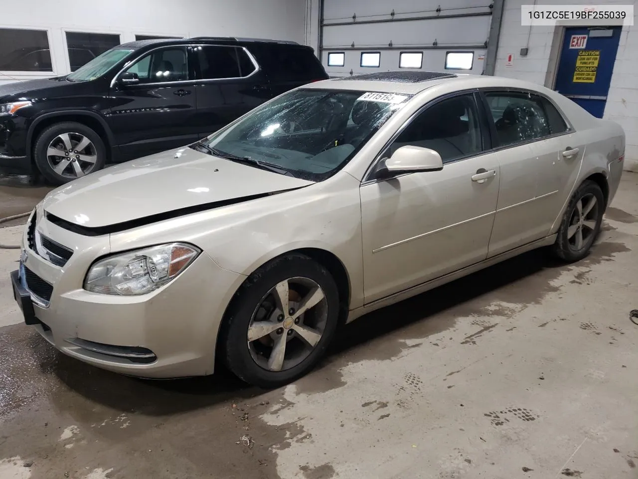 1G1ZC5E19BF255039 2011 Chevrolet Malibu 1Lt