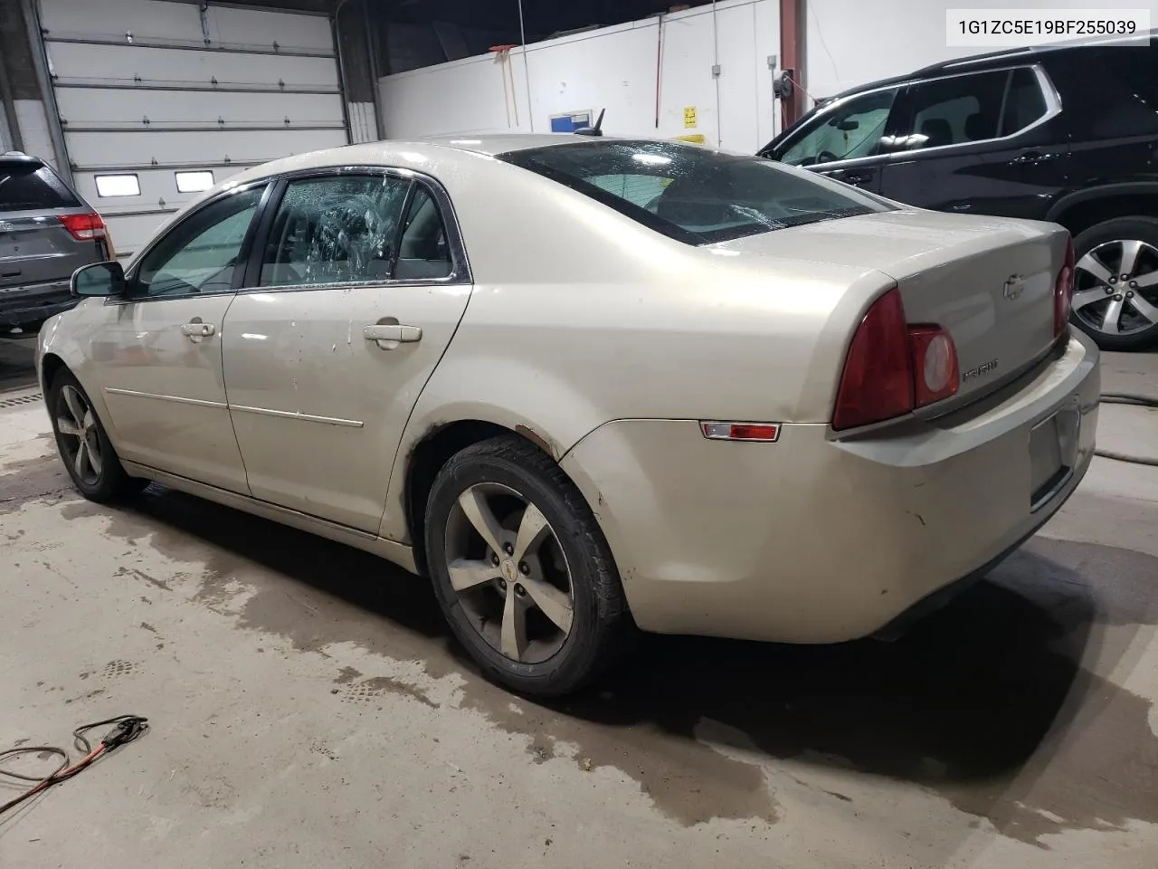 1G1ZC5E19BF255039 2011 Chevrolet Malibu 1Lt