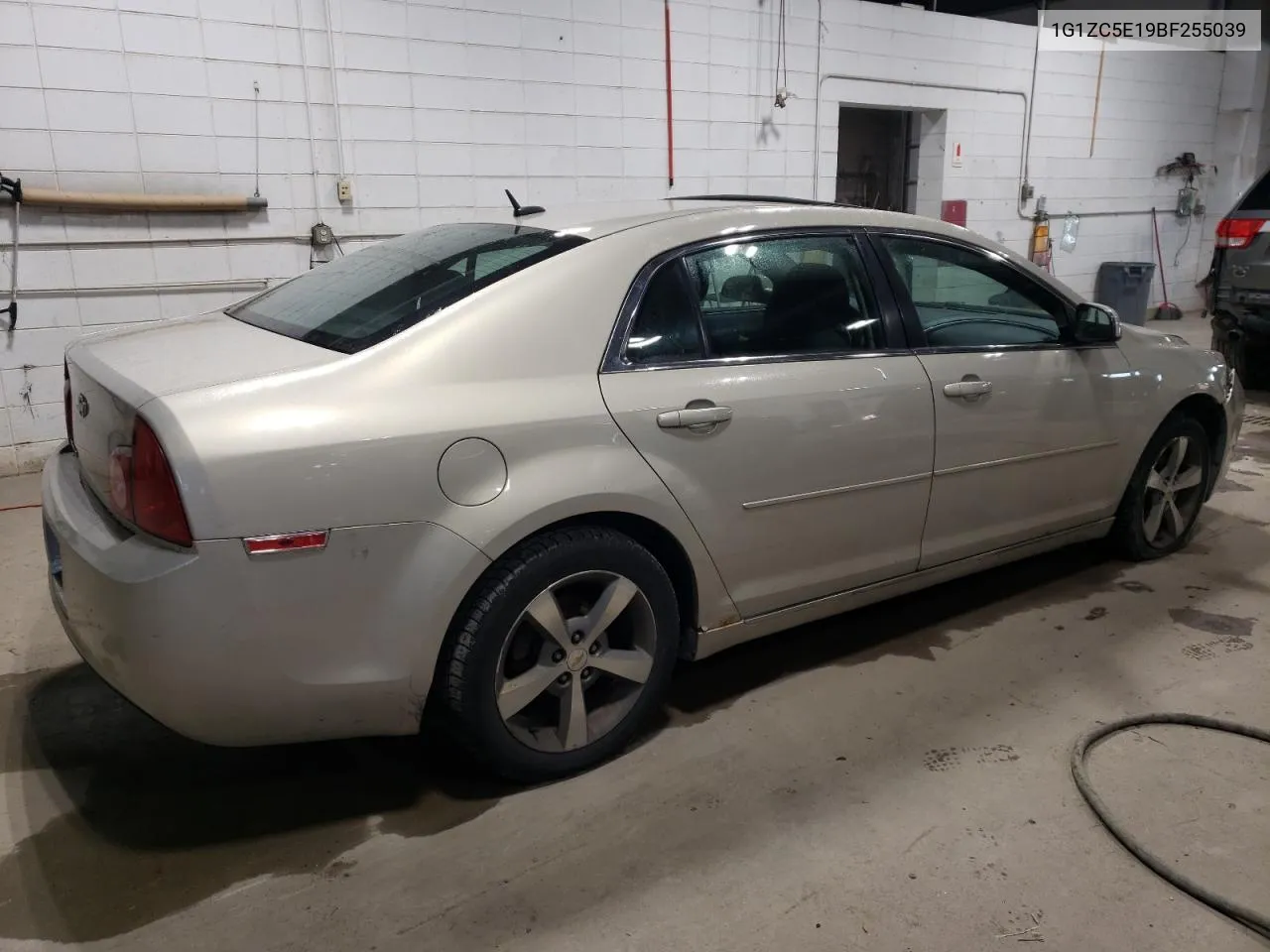 1G1ZC5E19BF255039 2011 Chevrolet Malibu 1Lt