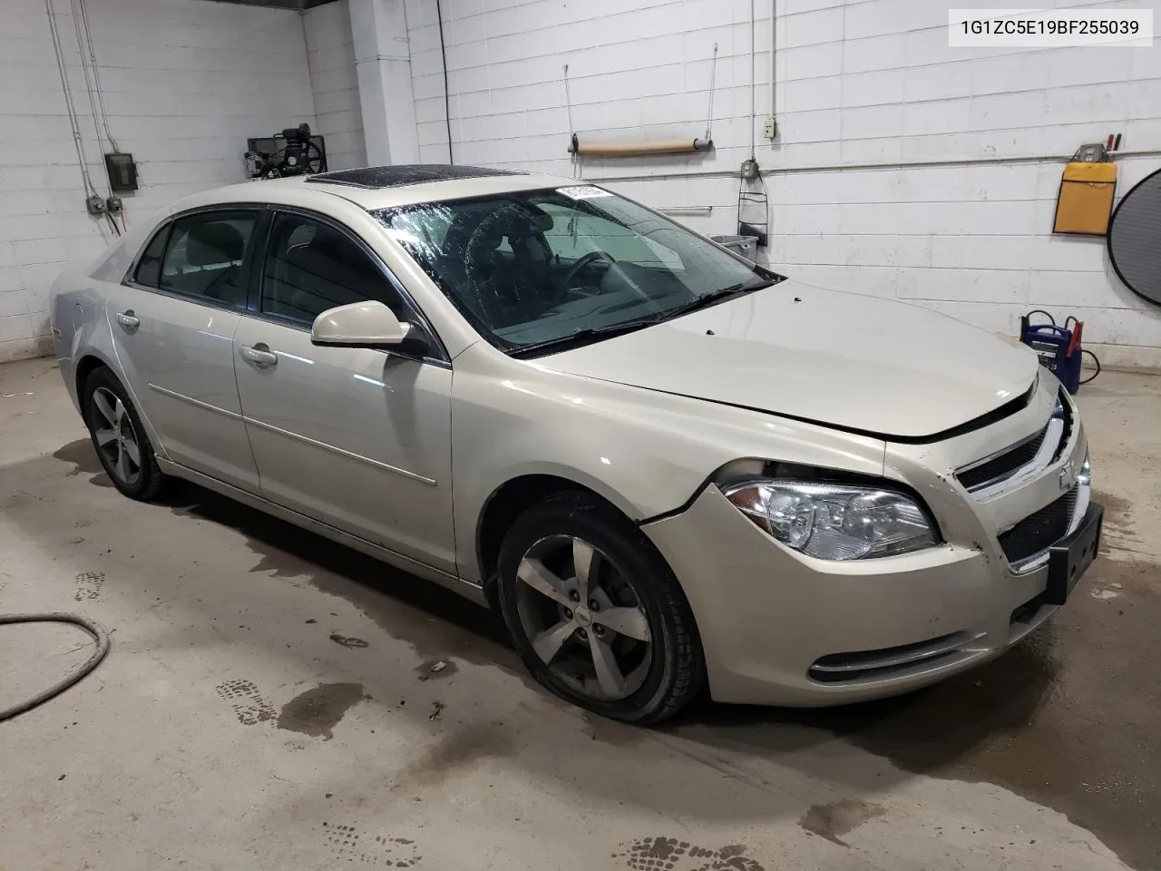 1G1ZC5E19BF255039 2011 Chevrolet Malibu 1Lt