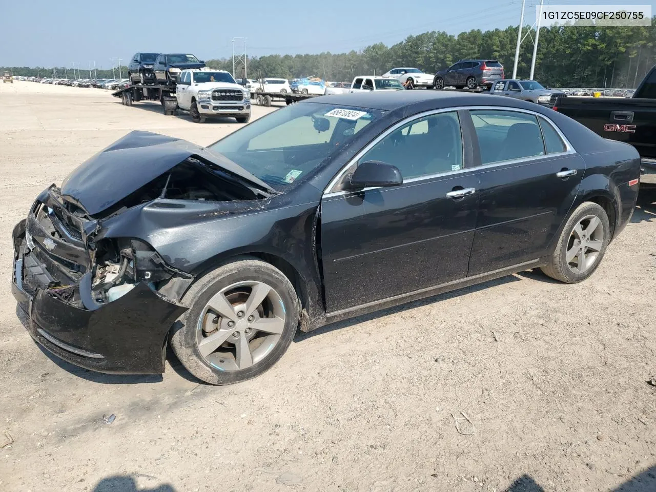 2012 Chevrolet Malibu 1Lt VIN: 1G1ZC5E09CF250755 Lot: 66610824