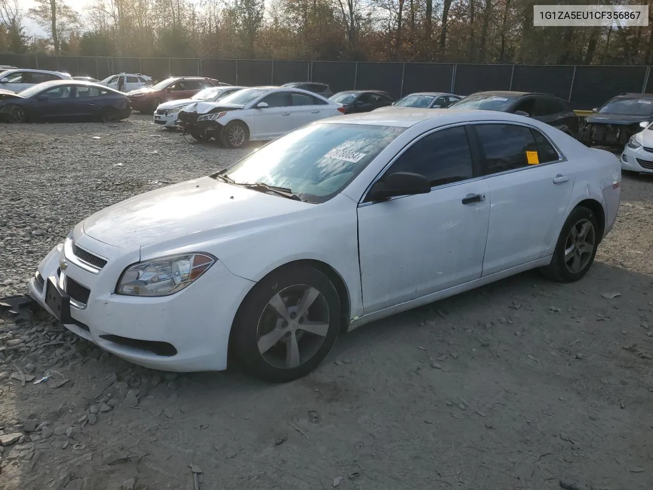 2012 Chevrolet Malibu Ls VIN: 1G1ZA5EU1CF356867 Lot: 79780054