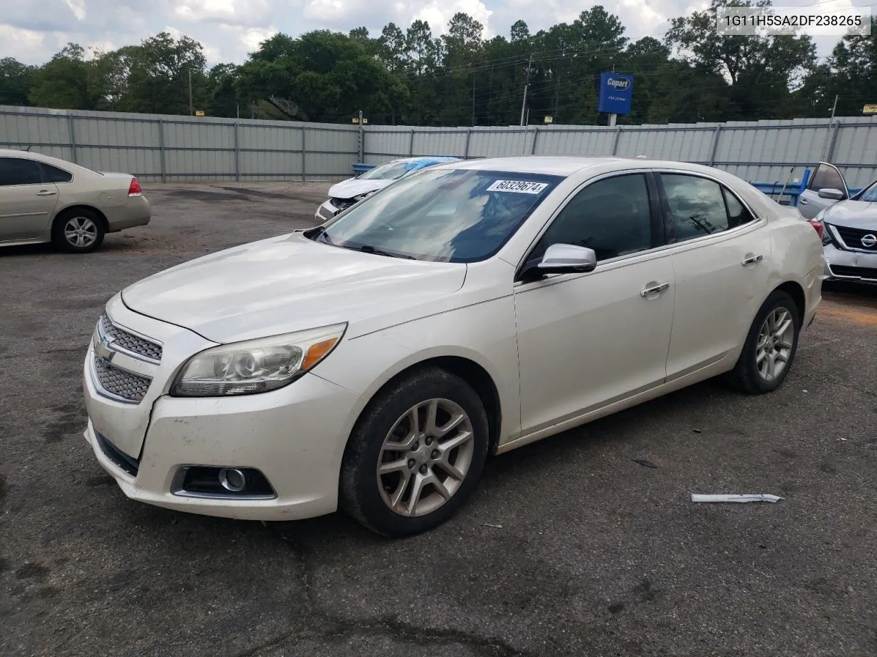 2013 Chevrolet Malibu Ltz VIN: 1G11H5SA2DF238265 Lot: 60329674