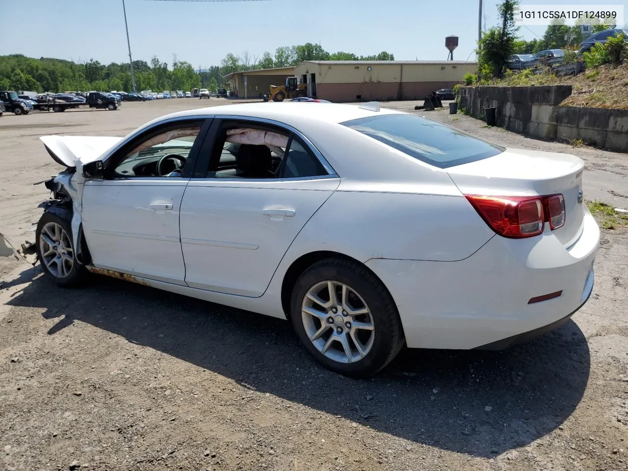 2013 Chevrolet Malibu 1Lt VIN: 1G11C5SA1DF124899 Lot: 60525504