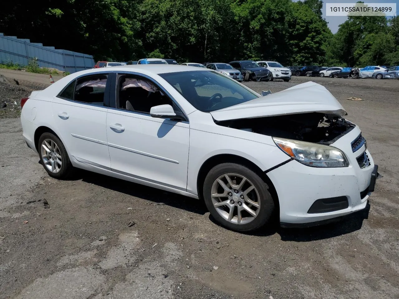 1G11C5SA1DF124899 2013 Chevrolet Malibu 1Lt